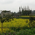 IMAG7199.jpg