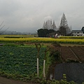 IMAG7206.jpg