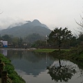 IMAG7212.jpg