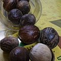 IMAG7981.jpg