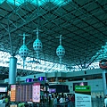IMAG8026_1.jpg
