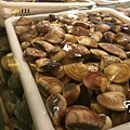 IMAG8029.jpg