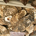 IMAG8032_1.jpg