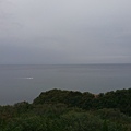 IMAG8051.jpg