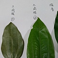 IMAG8304.jpg