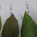 IMAG8305.jpg