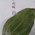 IMAG8313.jpg