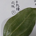 IMAG8314.jpg