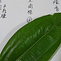 IMAG8315.jpg