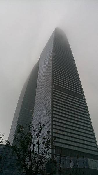 IMAG9019.jpg