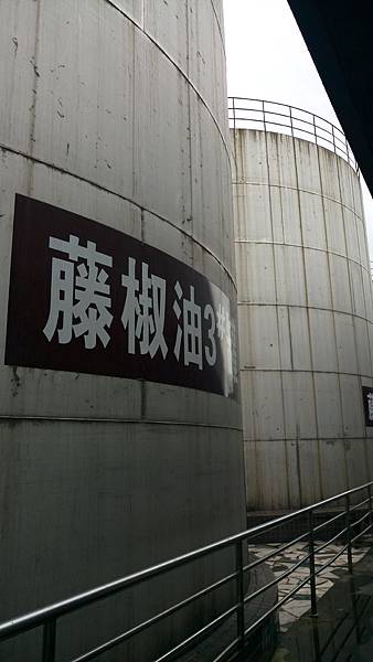 IMAG9425.jpg
