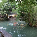 IMG_7812.JPG