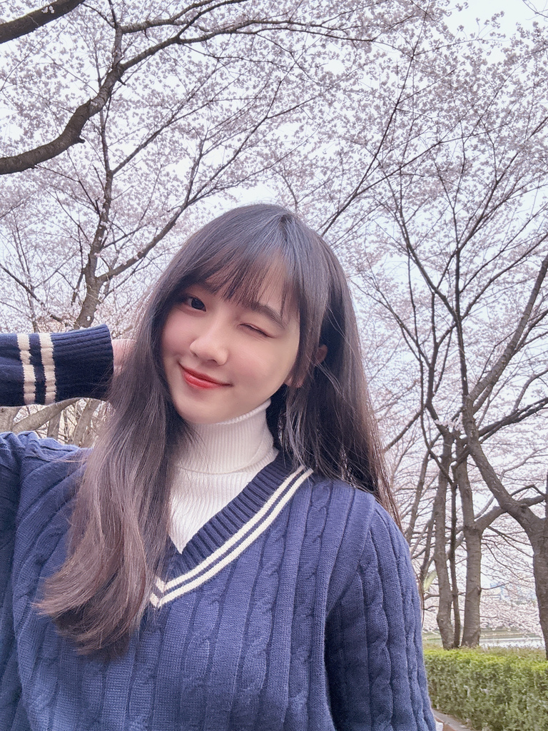 Naver Map 首爾賞櫻各景點路線設定🌸首爾林🌸佛光川🌸 Naver Map 首爾賞櫻各景點路線設定🌸首爾林🌸佛光川🌸