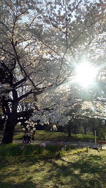 日本自助旅行