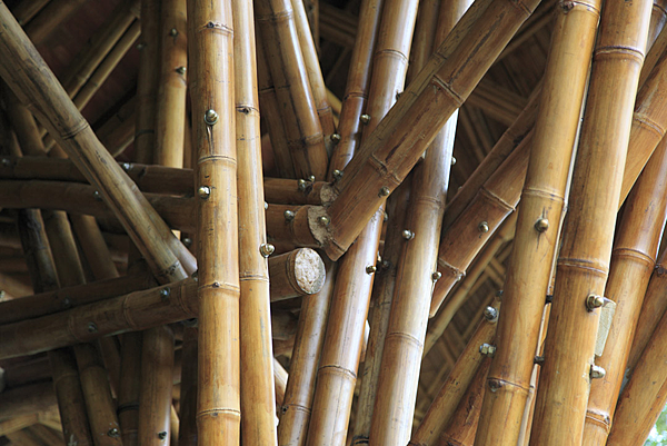 stringio (2) stringio (2)