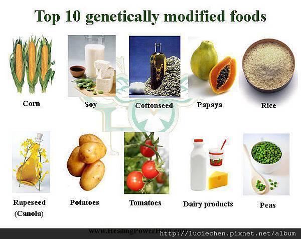 GMO TOP 10