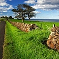 Stone Fence, Yorkshire Dales, England1