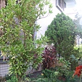 照片 051.jpg