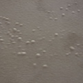 DSCF9304