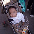 DSCF2915