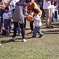 DSCF2990