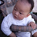 DSCF2948