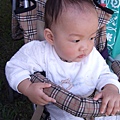 DSCF2949