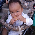 DSCF2951