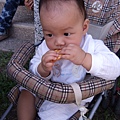DSCF2952