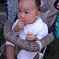 DSCF2954