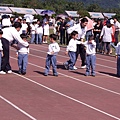 DSCF2967