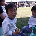 DSCF2973