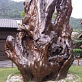 DSCF2785.JPG