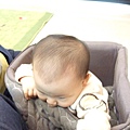 DSCF3330.JPG