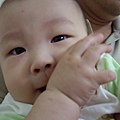 49369baf7dfea.jpg