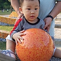 DSCF4251.JPG