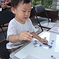 DSCF6355.JPG
