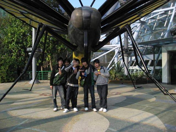 1445223189-是鳥 不  是~~  大鳥.jpg