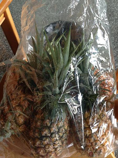 image.jpeg image.jpeg