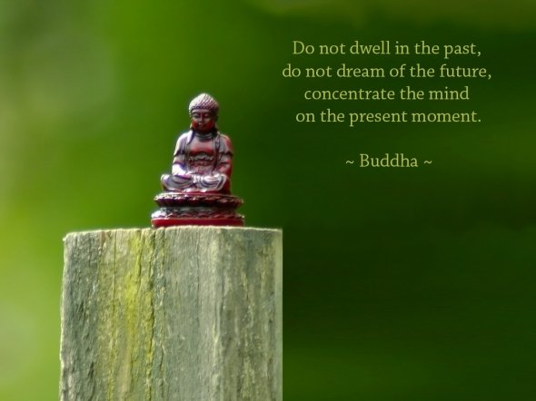 draft_lens15301861module132673461photo_1289488347buddha_quote_2