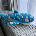 在美麗海水族館買的鯨鯊玩偶。