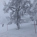 冰天雪地。