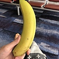 出門前妹妹塞給我一根香蕉，說在機場可以吃XDDD