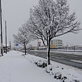 路邊隨手拍的雪景都很美。