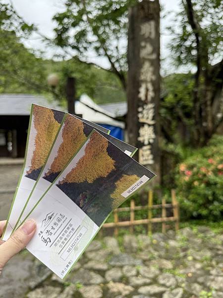 用完餐後到明池森林遊樂區。