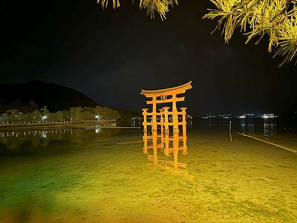 入夜後的大鳥居。