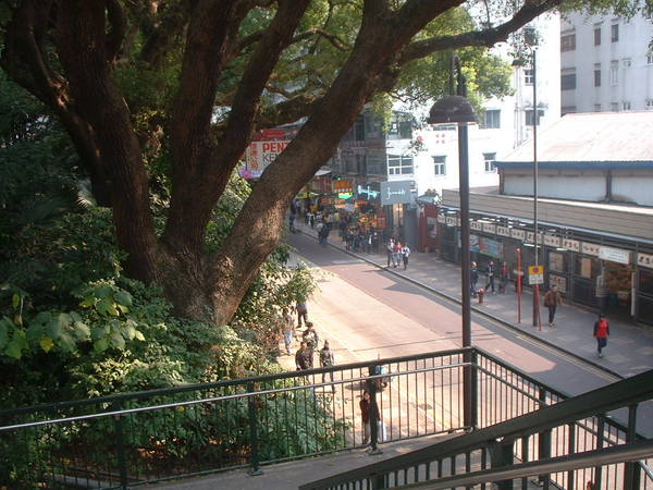 好像是廣東道吧