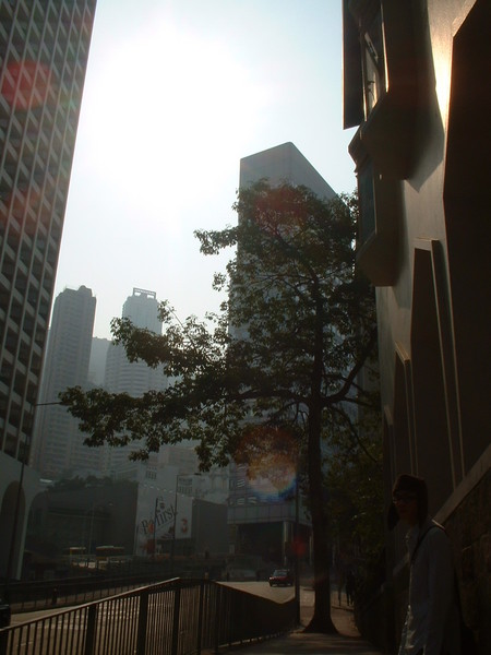 陽光普照