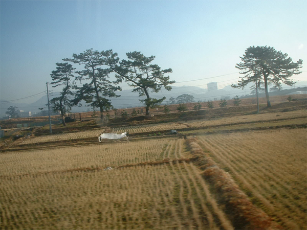 坐火車往箱根路上