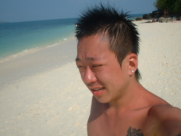 美到我不敢直視